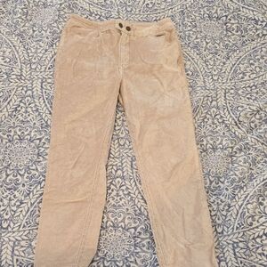 We The Free Light Pink "Velvet" Pants